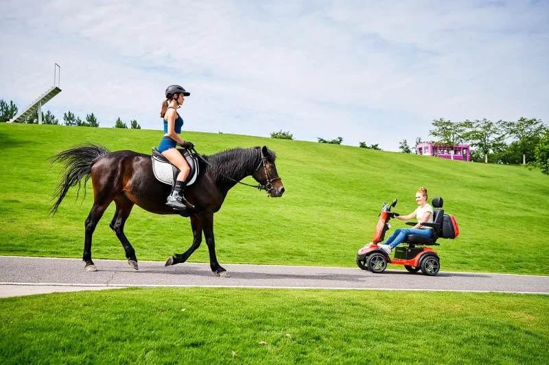 Mobility Scooter R49SE 12