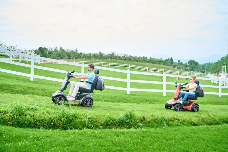Mobility Scooter R49SE 5